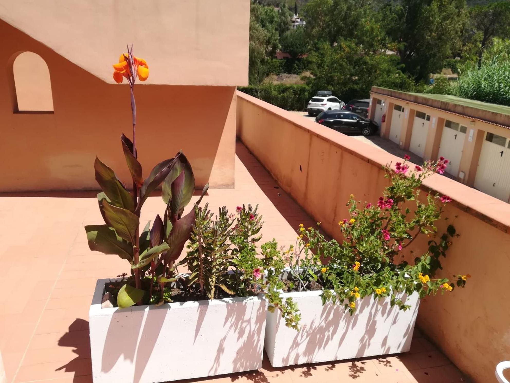 Elbamare Residence Con Piscina Nisporto Exteriér fotografie